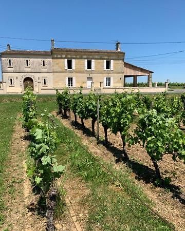 Gite Du Chateau La Rose Des Vents Villa Puisseguin Exteriör bild