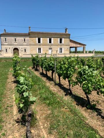 Gite Du Chateau La Rose Des Vents Villa Puisseguin Exteriör bild